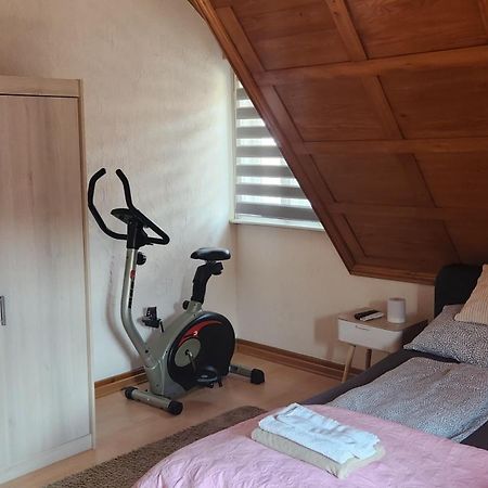 Ela Vital Ferienwohnung St. Blasien Exterior foto