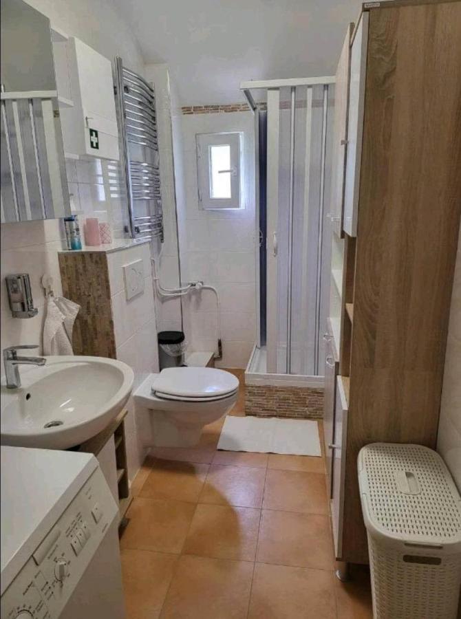 Ela Vital Ferienwohnung St. Blasien Exterior foto